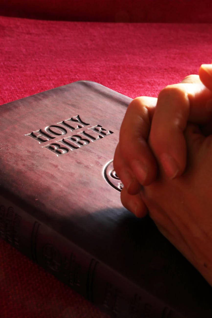 The Bible: What Is&nbsp;It?